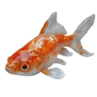 اسماك زينة وأحياء مائية للبيع في النرويج