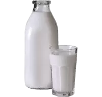 البان و اجبان فى النرويج