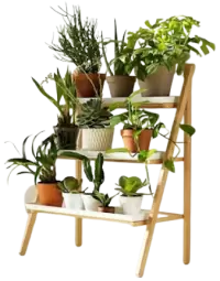 مشتل نباتات فى النرويج