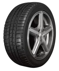 جنط مع كوشوك فى النرويج