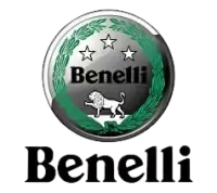 بينيلي فى النرويج