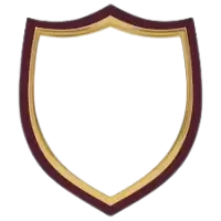 شعارات وهويات بصرية فى النرويج