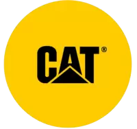 كات فى النرويج