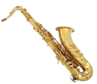 آلات نفخ موسيقية للبيع في النرويج